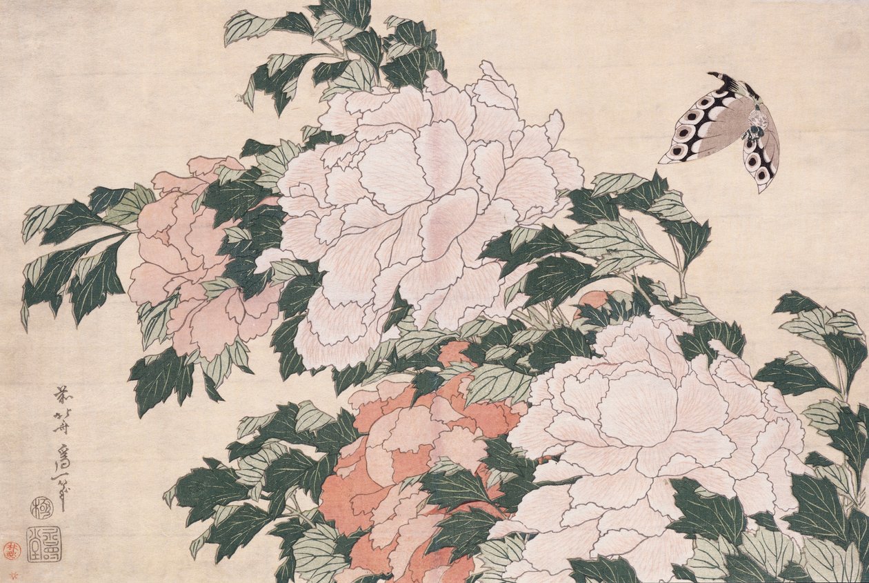 Rosa und Rote Pfingstrosen, vom Wind nach links geblasen und ein Schmetterling von Katsushika Hokusai
