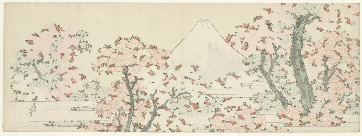 Der Berg Fuji mit blühenden Kirschbäumen von Katsushika Hokusai