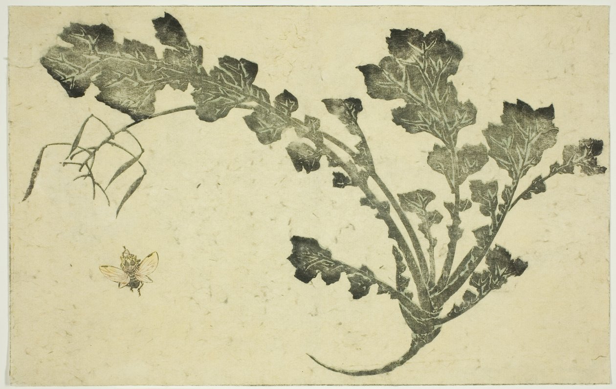Wespe und Rübenstiel, aus "Das Bilderbuch der realistischen Malereien von Hokusai" von Katsushika Hokusai