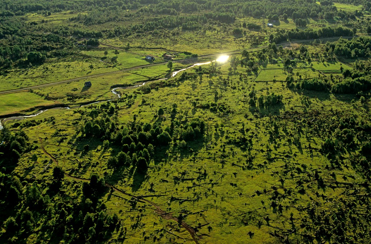 DOH, Die ältesten Amerikaner, Chinchihuapi Creek, Saisonales Zuhause, Jäger und Sammler, 2008 (Foto) von Kenneth Garrett