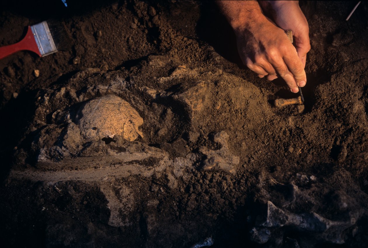 Dmanisi, Georgien, David Lordkipanidze, Homo Erectus von Kenneth Garrett