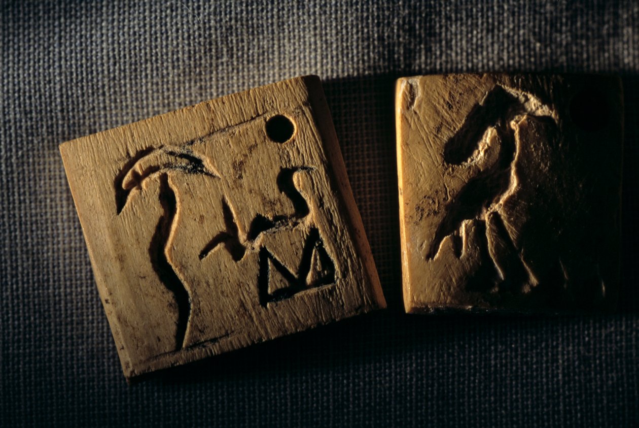 Prädynastisches Elfenbeinetikett, früheste Schrift, Dr. Gunter Dreyer, Ägypten, 2005 von Kenneth Garrett