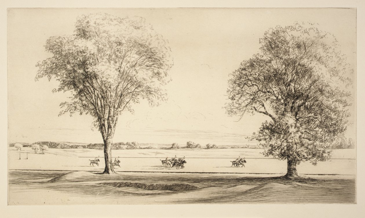 Polo von Kerr Eby