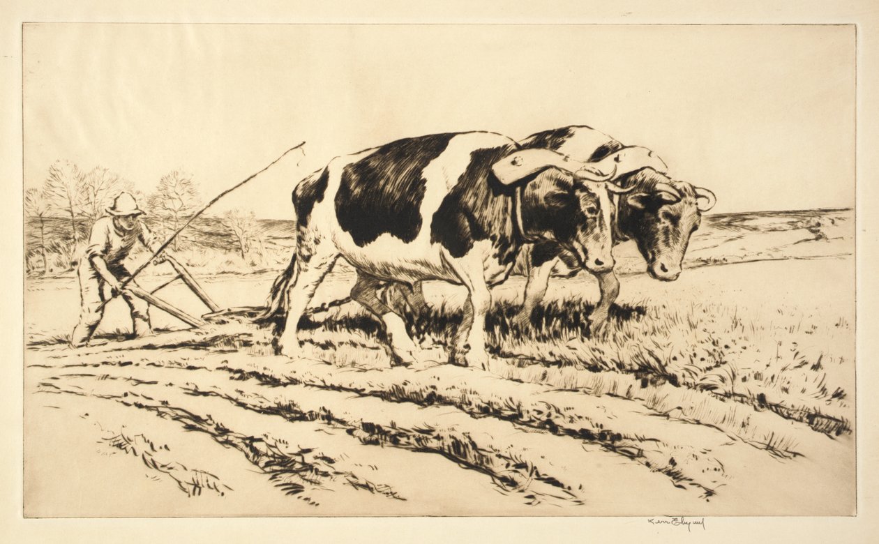 Frühjahrs-Pflügen von Kerr Eby
