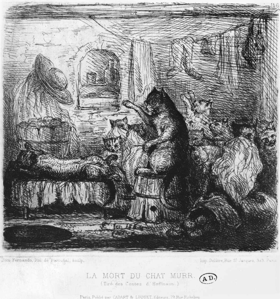 Tod von Kater Murr, Illustration aus Die Lebensansichten des Katers Murr von Ernst Theodor Amadeus Hoffmann (1776-1822) veröffentlicht 1820-22 von King of Portugal Fernando II