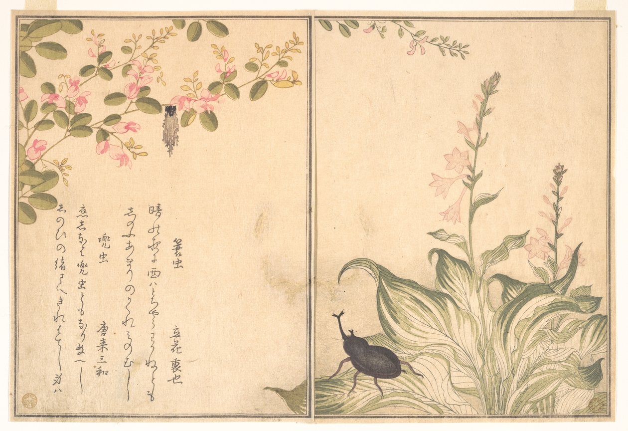 Beutelwurm (Minomushi); Gehörnter Skarabäuskäfer (Kabutomushi), aus dem Bilderbuch der kriechenden Kreaturen (Ehon mushi erami) von Kitagawa Utamaro