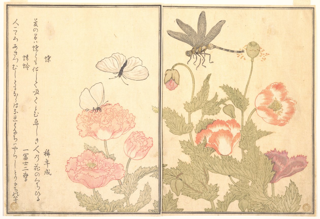 Schmetterling (Chō); Libelle (Kagerō oder Tonbo), aus dem Bilderbuch der kriechenden Kreaturen (Ehon mushi erami) von Kitagawa Utamaro