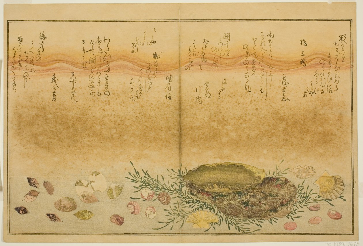 Chidori-gai, itaya-gai, awabi, utsuse-gai, asari-gai und monoara-gai, aus dem illustrierten Buch "Geschenke von der Ebbe (Shiohi no tsuto)" von Kitagawa Utamaro