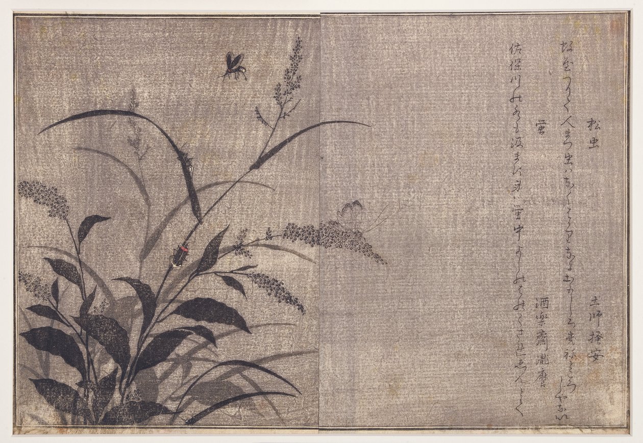 Grille und Glühwürmchen, 1788 von Kitagawa Utamaro
