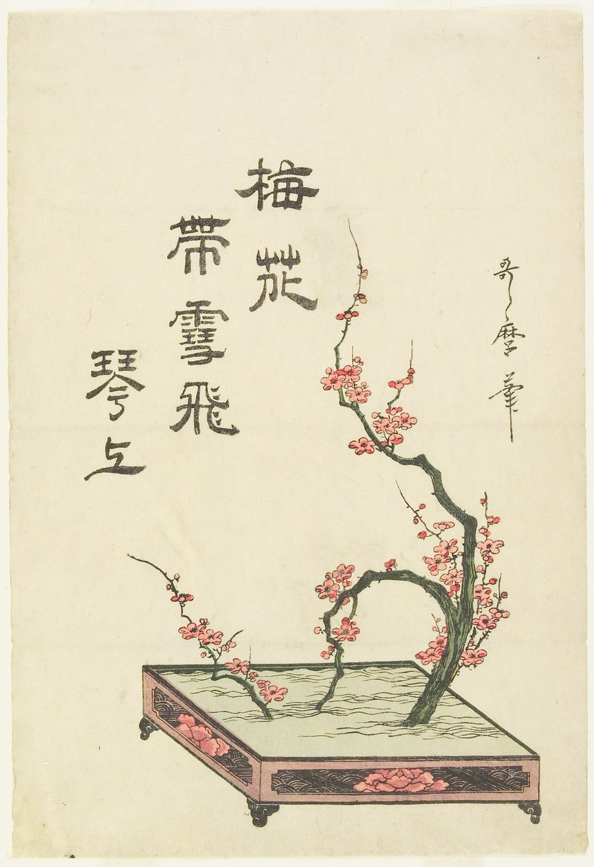 Ikebana-Arrangement eines Pflaumenzweigs von Kitagawa Utamaro