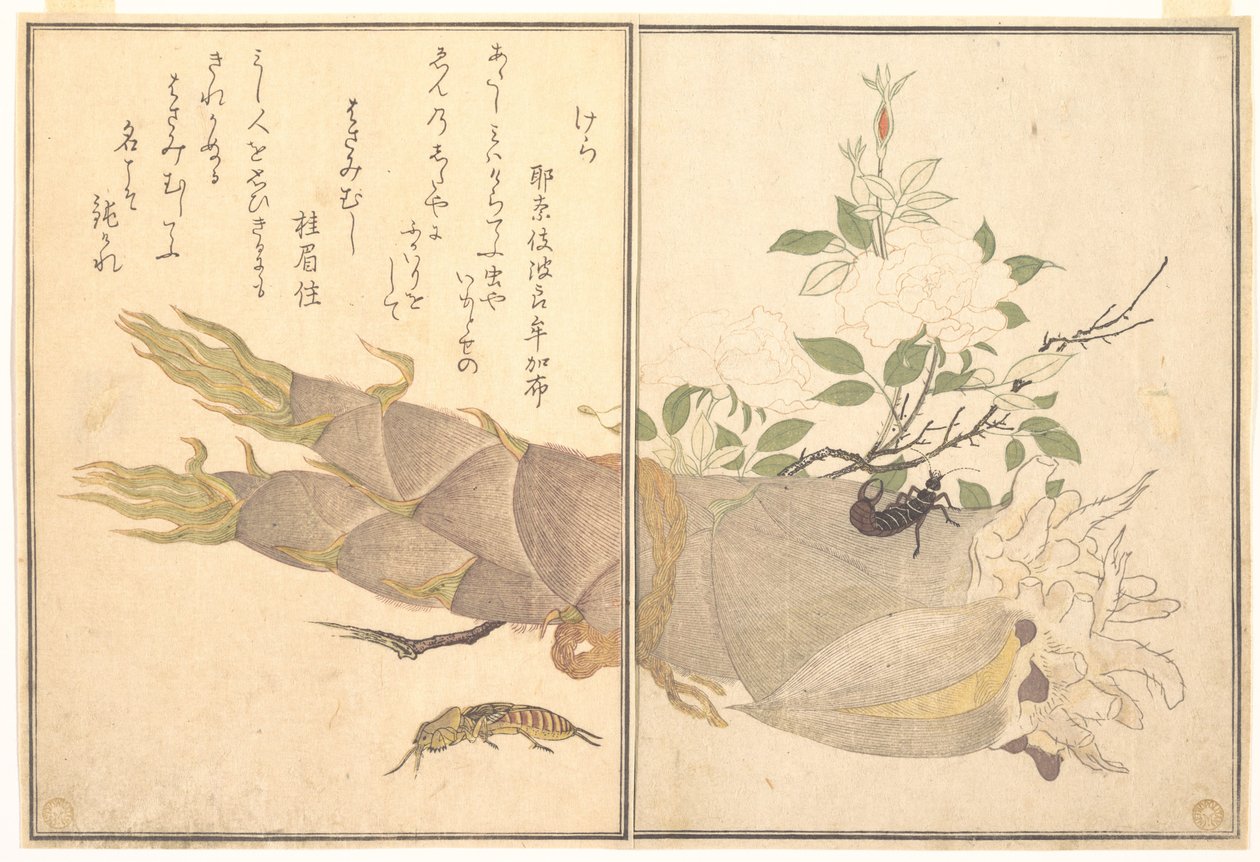 Maulwurfsgrille (Kera); Ohrwurm (Hasami-mushi), aus dem Bilderbuch der kriechenden Kreaturen (Ehon mushi erami) von Kitagawa Utamaro