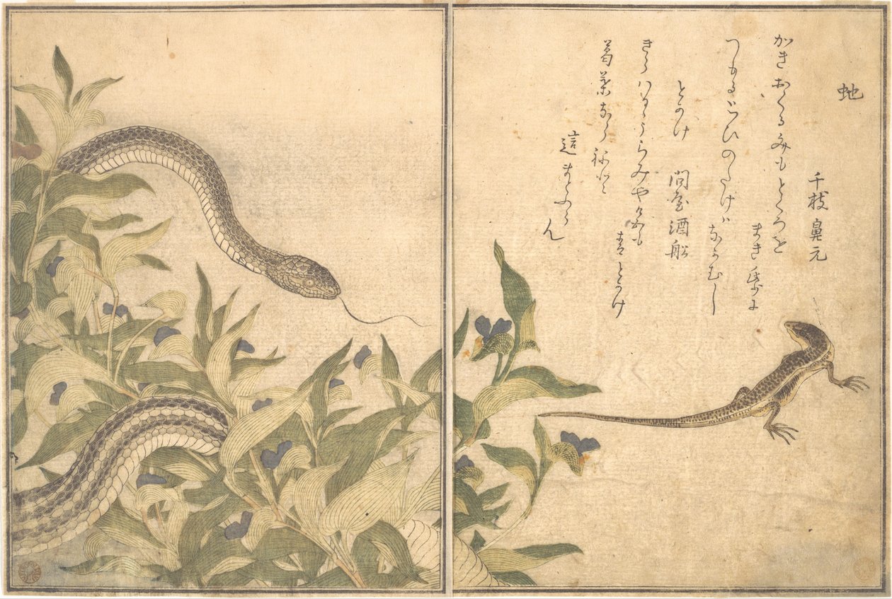 Rattenschlange (Hebi); Eidechse oder Skink (Tokage), aus dem Bilderbuch der kriechenden Kreaturen von Kitagawa Utamaro
