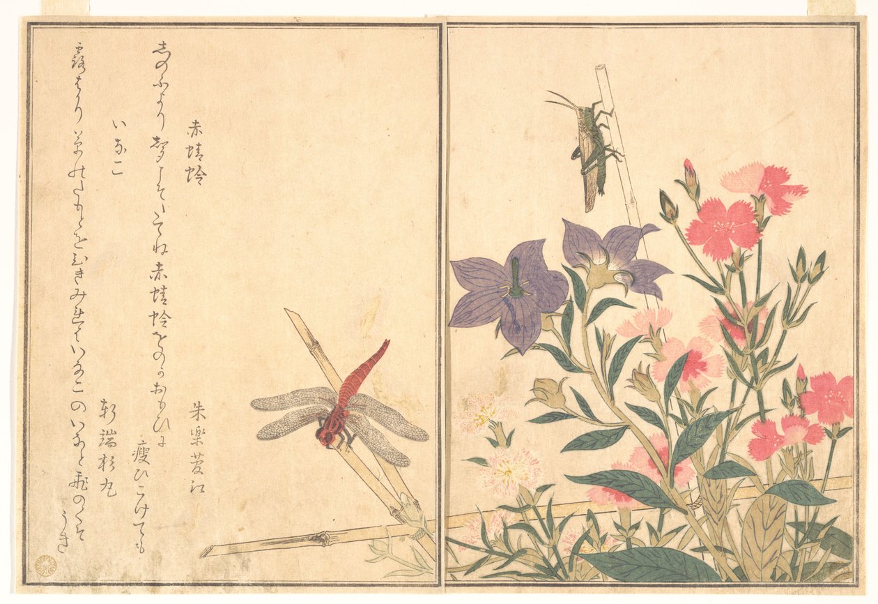 Rote Libelle (Akatonbo); Heuschrecke (Inago), aus dem Bilderbuch der kriechenden Kreaturen (Ehon mushi erami) von Kitagawa Utamaro