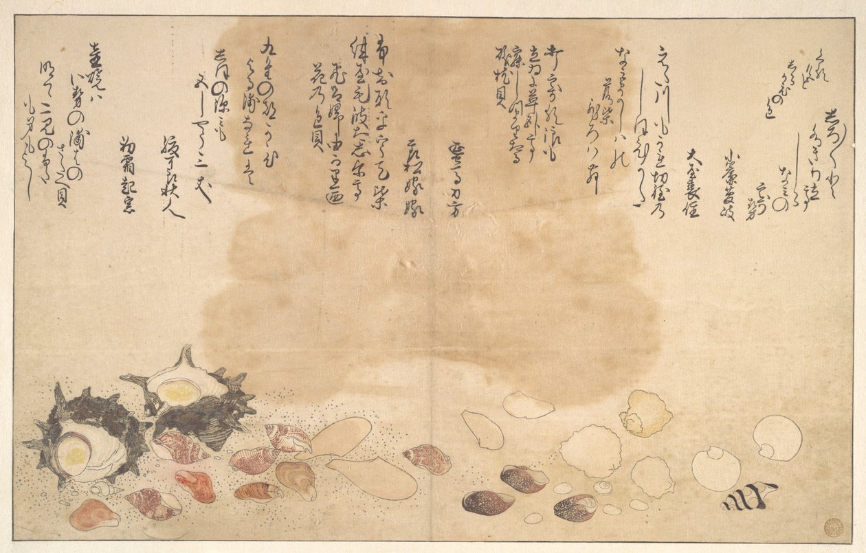 Muscheln unter Wasser von Kitagawa Utamaro