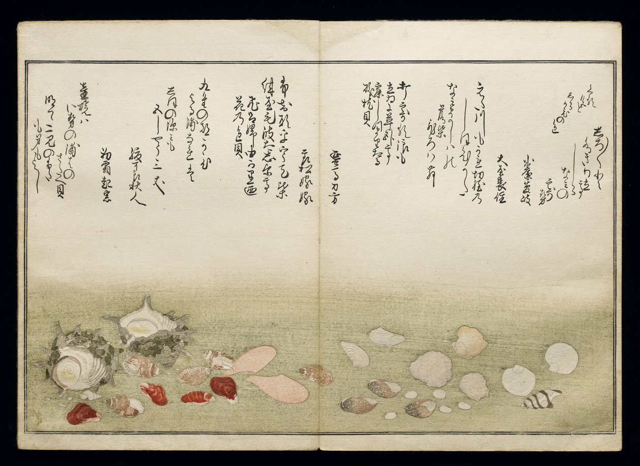 Shiohi no tsuto (Geschenke von der Ebbe), bekannt als das Muschelbuch, 1789 von Kitagawa Utamaro