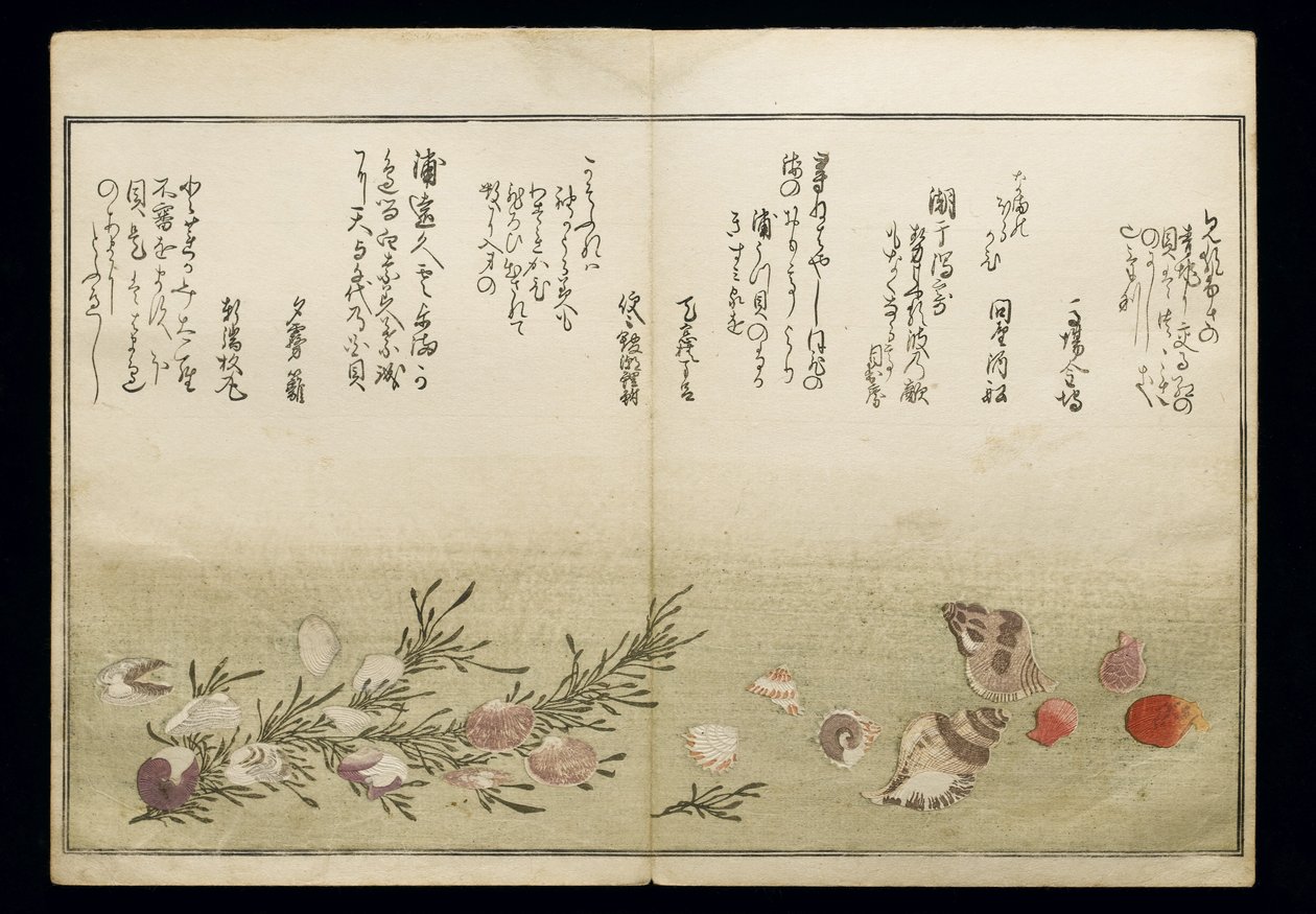 Shiohi no tsuto (Geschenke von der Ebbe), bekannt als das Muschelbuch, 1789 von Kitagawa Utamaro