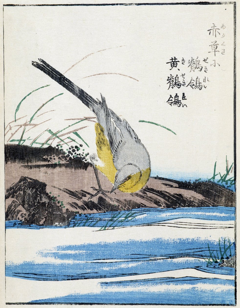 Vogel. Japanische Zeichnung von Kitao Kosuisai von Kitao Shigemasa