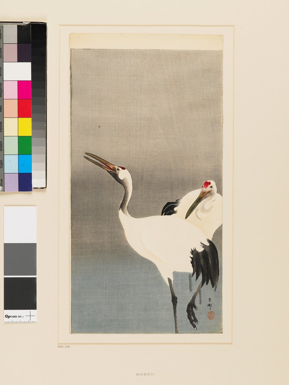 Zwei japanische Kraniche waten in einem Teich von Koson Ohara