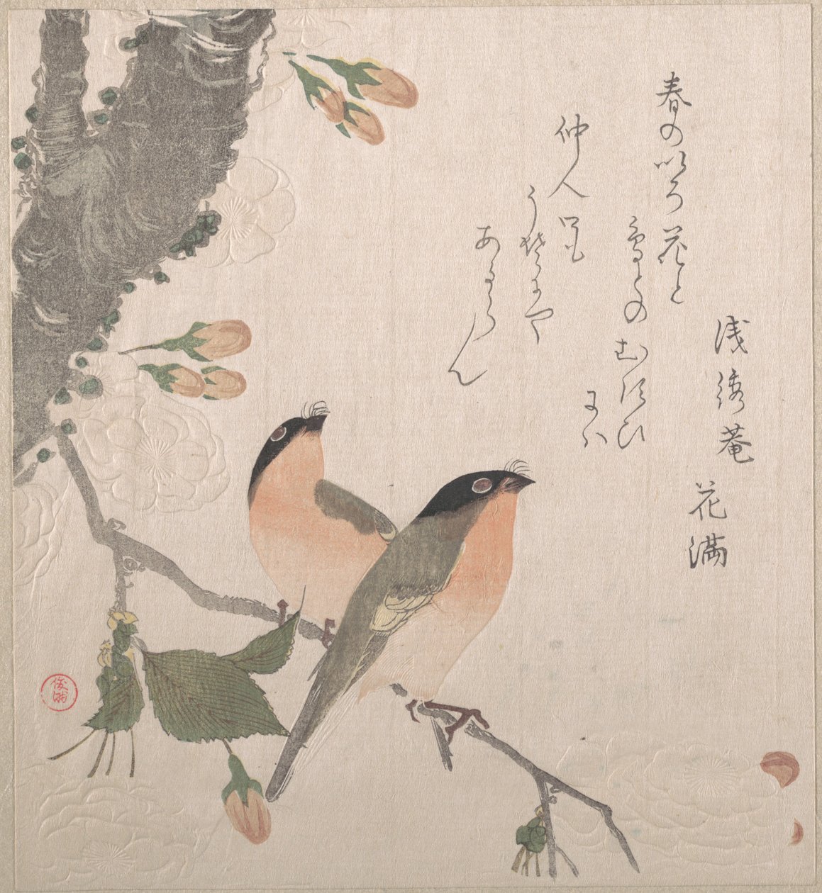 Gimpel und Kirschblüten von Kubo Shunman