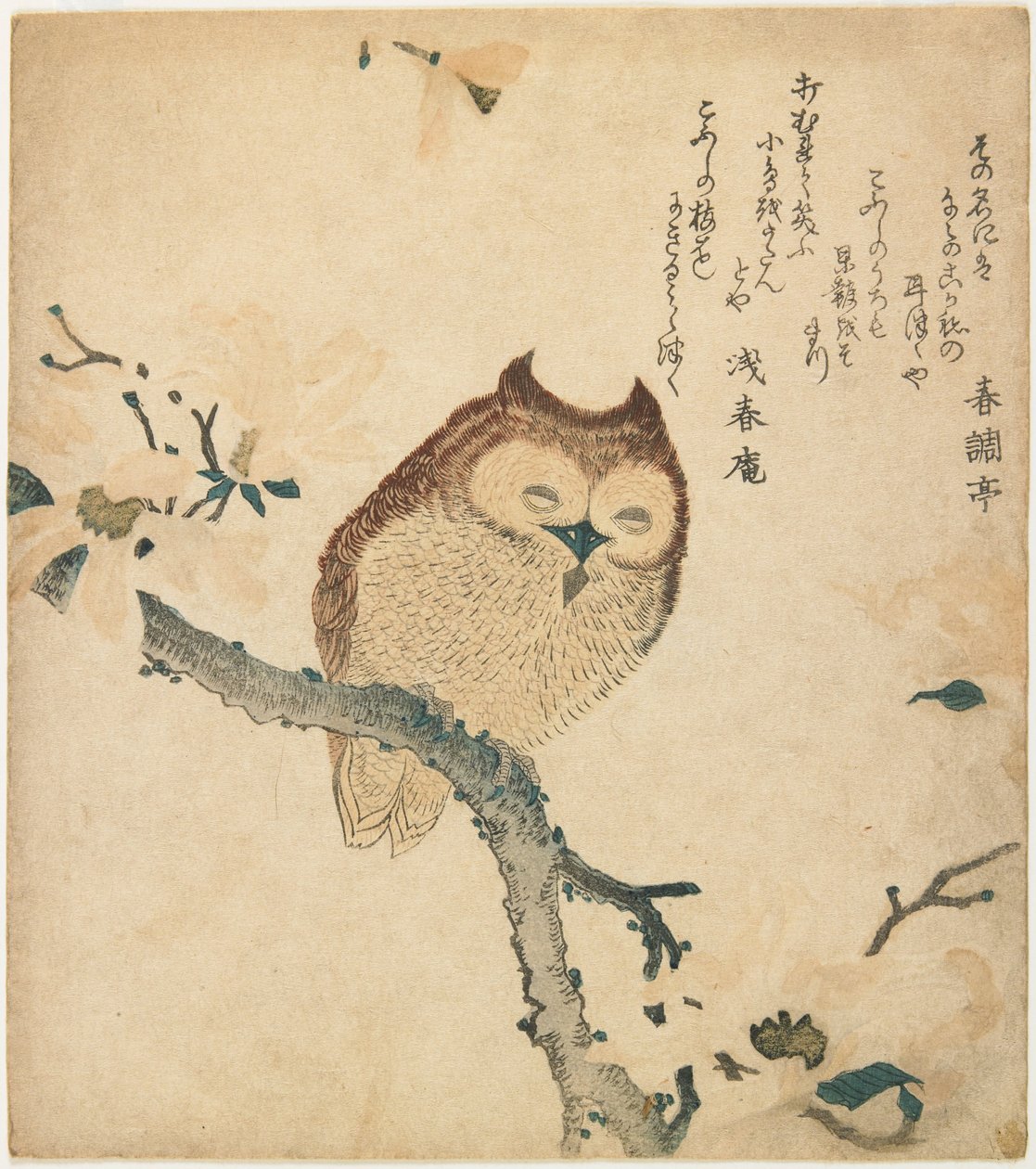 Uhu auf blühendem Ast von Kubo Shunman