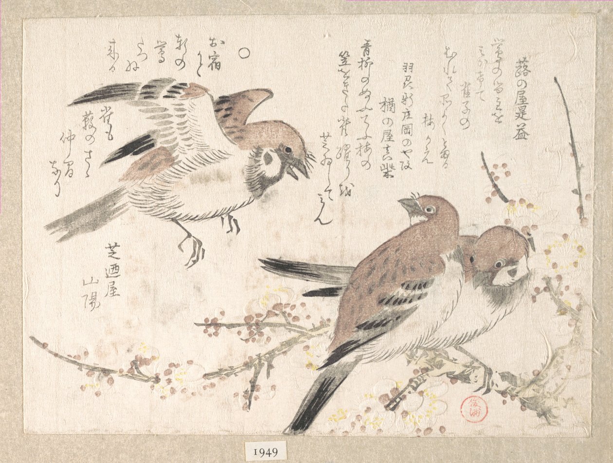 Spatzen und Pflaumenblüten von Kubo Shunman