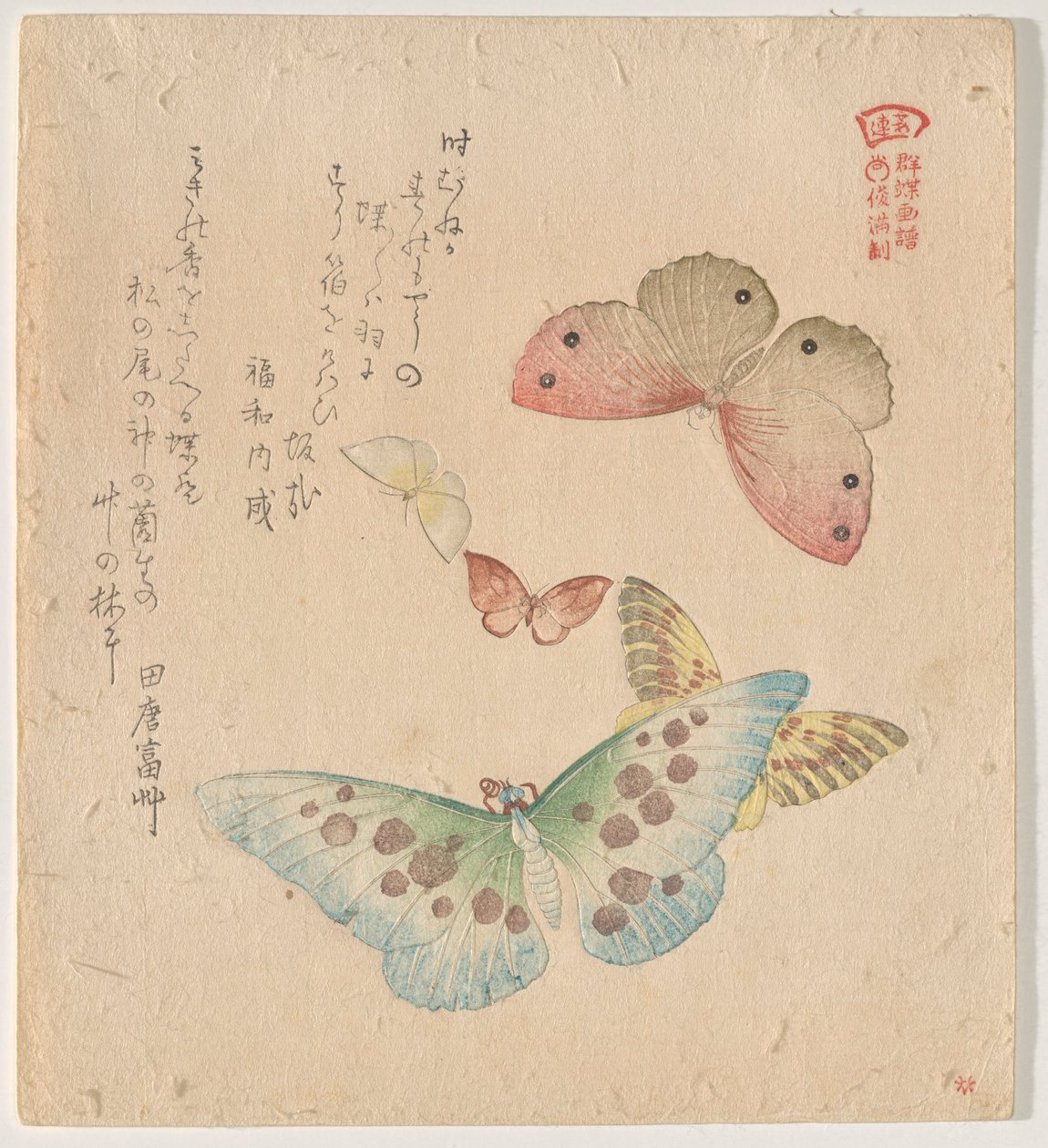 Das Malhandbuch der Schmetterlingsschwärme (Guncho? Gafu) von Kubo Shunman