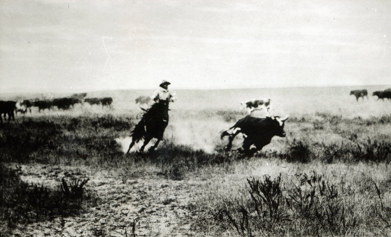 Cowboy auf Pferd, der ein Kalb einfängt von L.A. Huffman