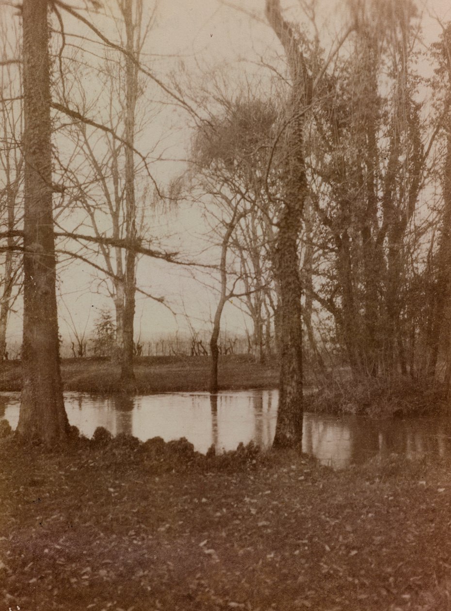 Album des Ersten Weltkriegs in Friaul-Julisch Venetien: der Teich im Park der Villa Brazza, Kriegslazarett Nr. 17, Soleschiano Manzano von L. Verdiani