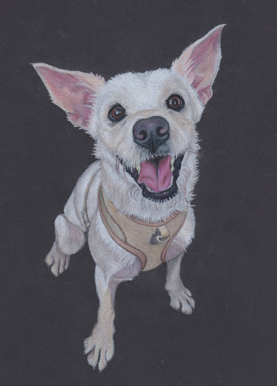 Flauschig von Laurie Michaels