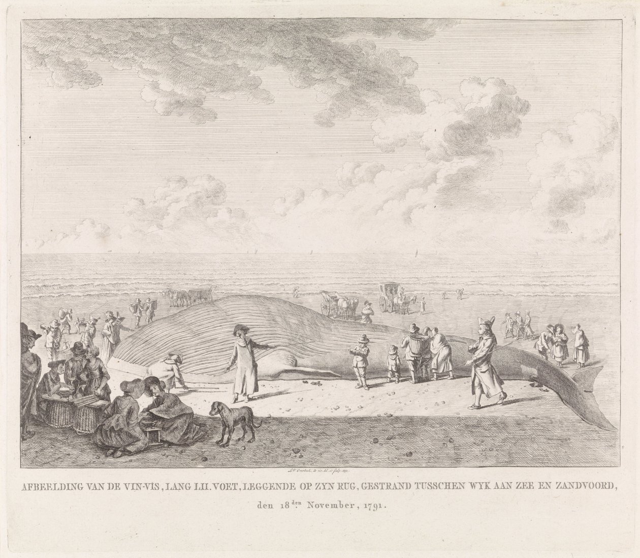 Finnwal am Strand von Zandvoort angespült von Leendert Overbeek