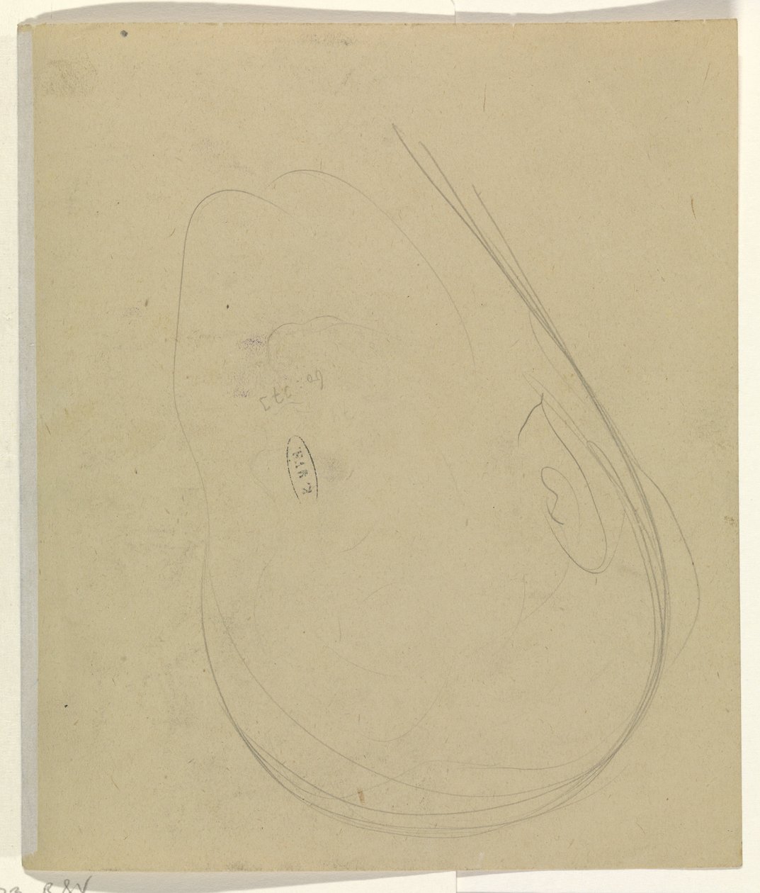 Konturen eines Kopfes von Leo Gestel