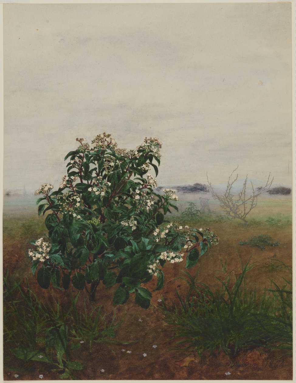 Blühender Lorbeer vor einer Landschaft von Léon Bonvin