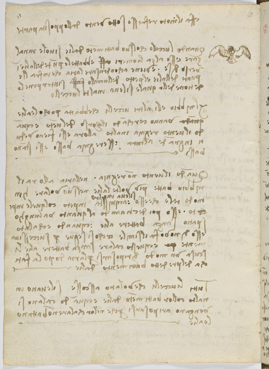 Vogelflugkodex, ca. 1505-06, Papiermanuskript, cc. 18, Blatt 5 verso von Leonardo da Vinci