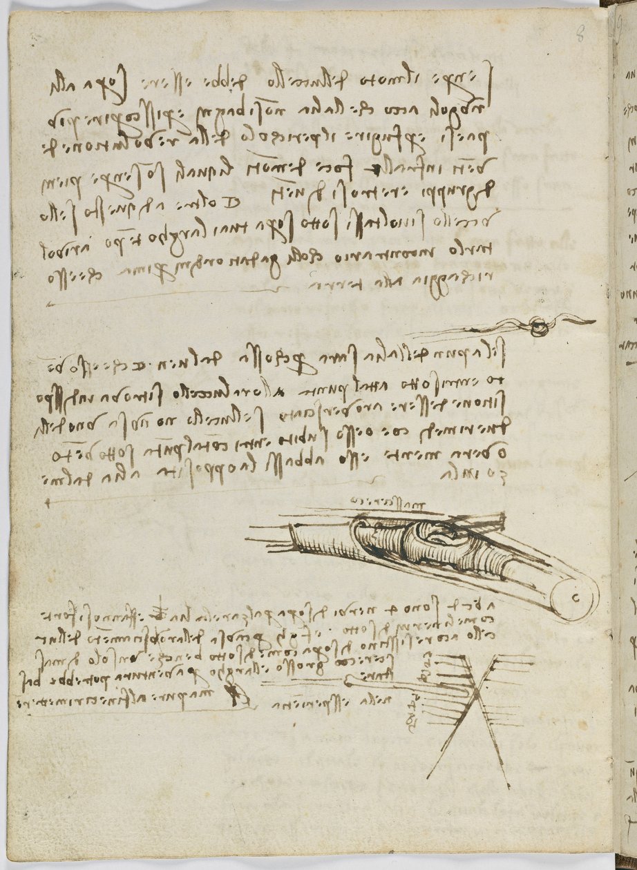 Vogelflugkodex, ca. 1505-06, Papiermanuskript, cc. 18, Blatt 6 verso von Leonardo da Vinci
