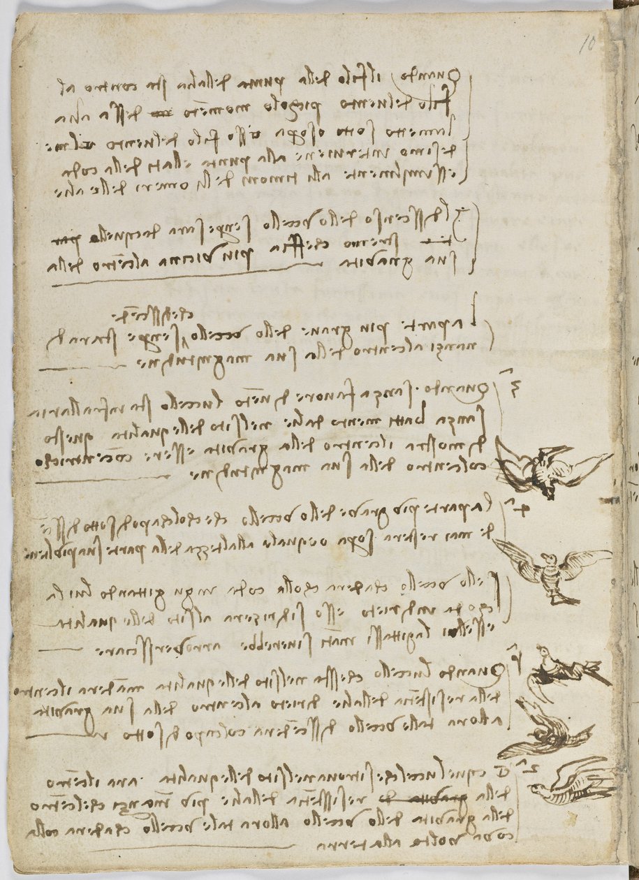 Vogelflugkodex, ca. 1505-06, Papiermanuskript, cc. 18, Blatt 7 verso von Leonardo da Vinci