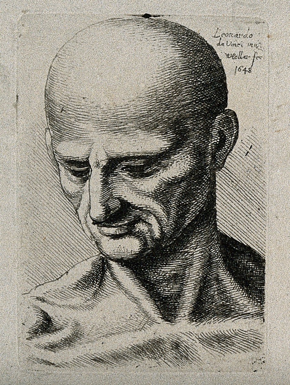 Büste eines mageren Mannes, der nach unten rechts schaut von Leonardo da Vinci
