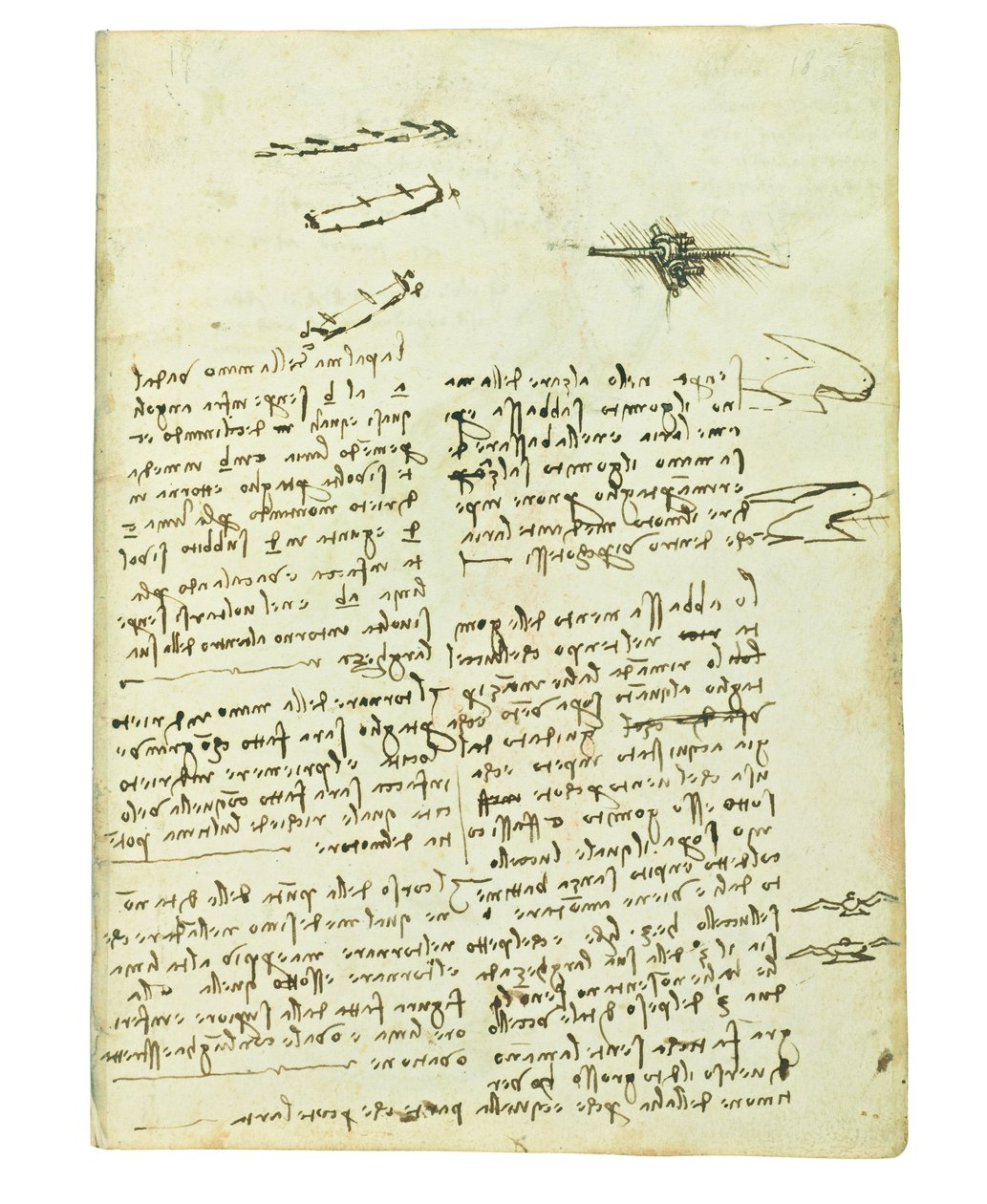 Codex über den Vogelflug, Folio 18 recto von Leonardo da Vinci