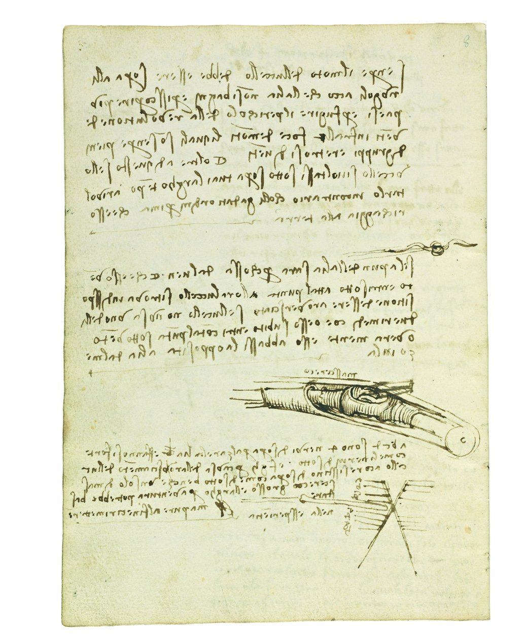 Codex über den Vogelflug, Folio 6 verso von Leonardo da Vinci