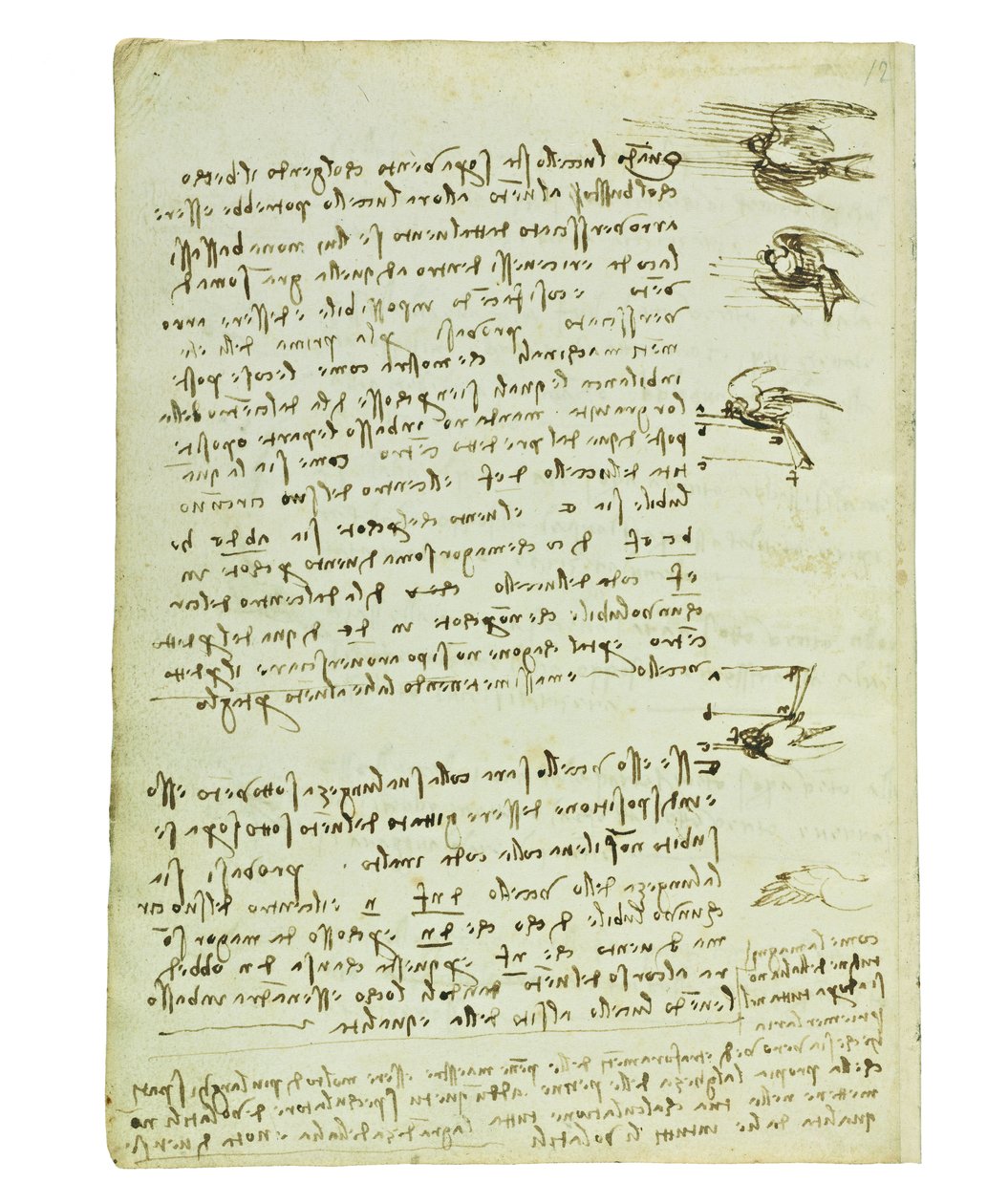 Codex über den Vogelflug, Folio 8 verso von Leonardo da Vinci
