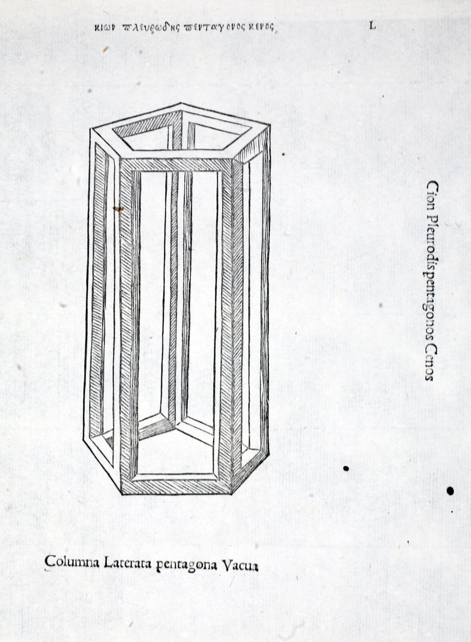 Columna laterata pentagona vacua, Illustration aus 