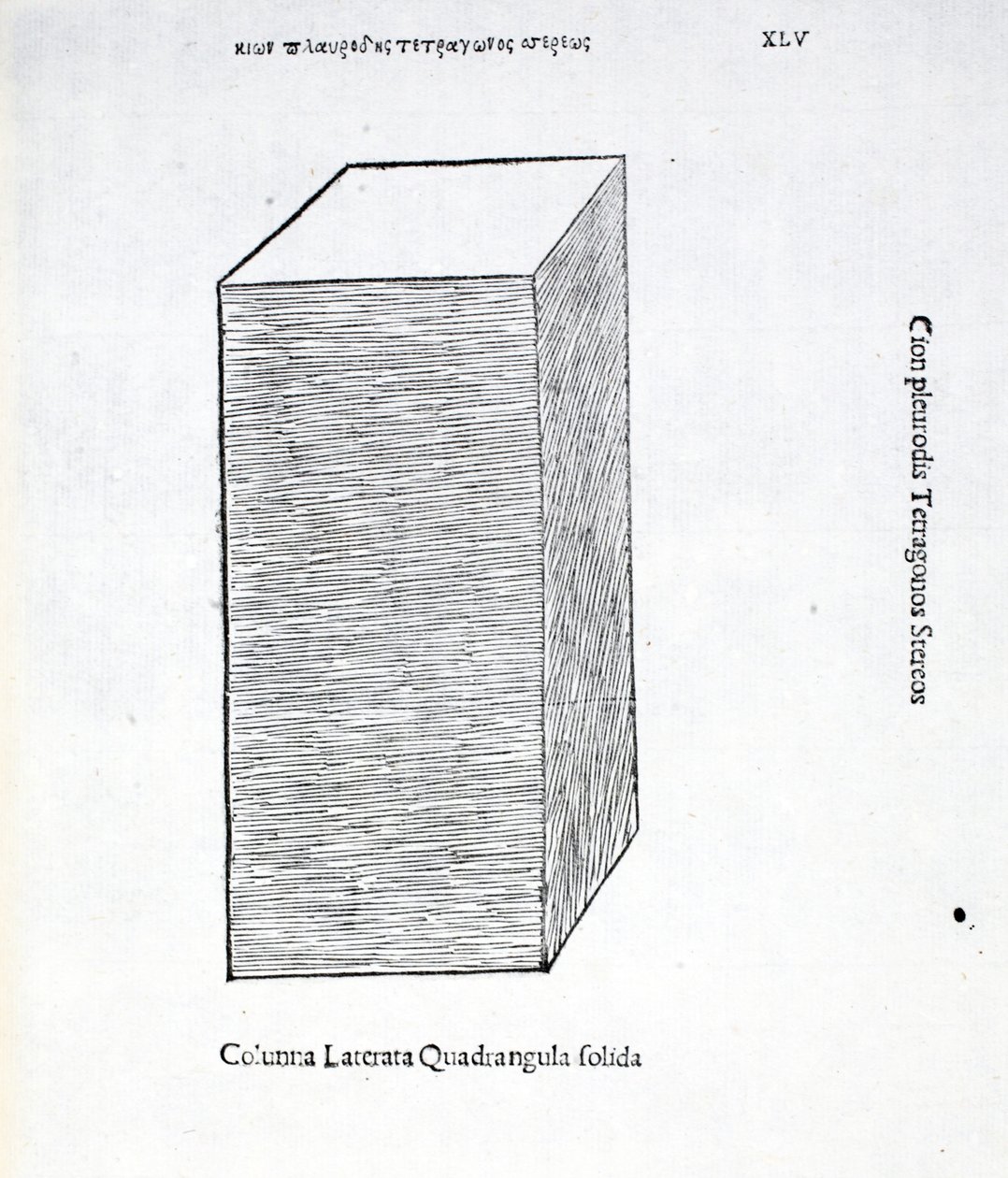 Columna laterata quadrangula solida, Illustration aus 