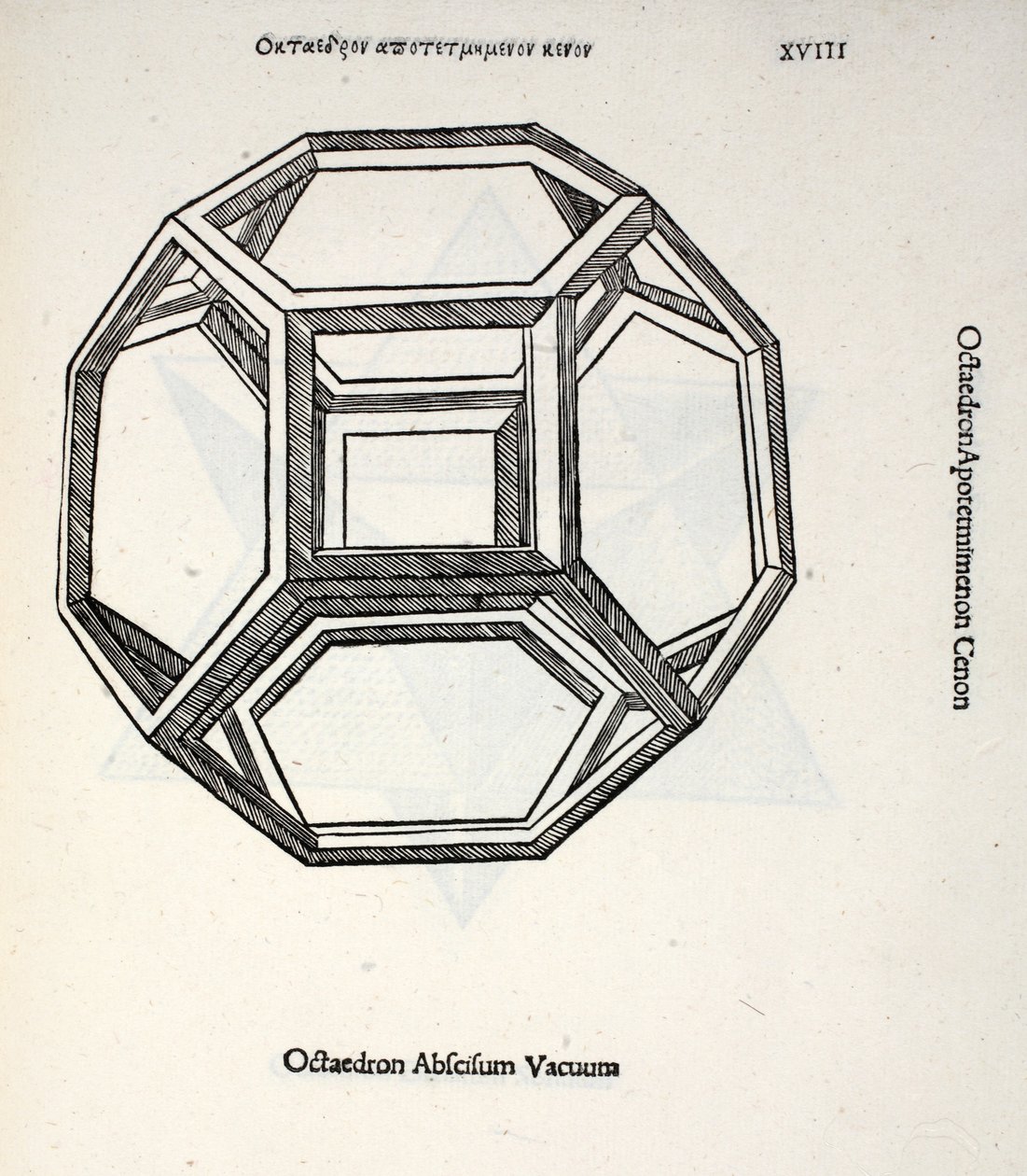 Octocedron abscisum vacuum, Illustration aus 