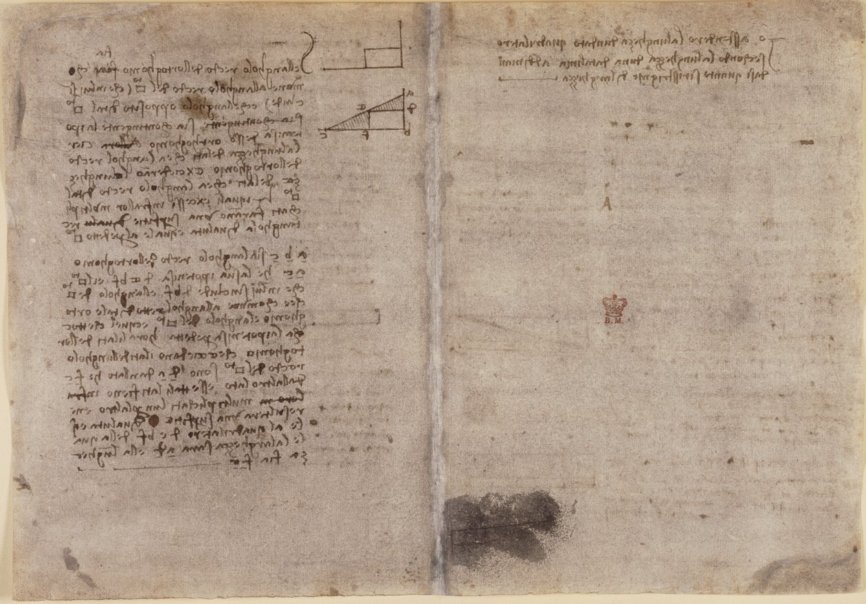 Notizen zur Geometrie (ca. 1518) aus 