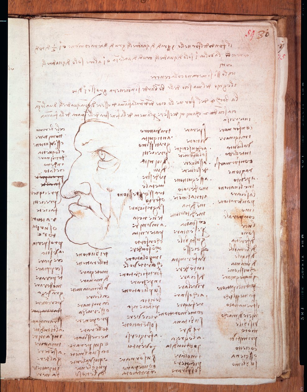 Codex Trivulziano von Leonardo da Vinci (1452 - 1519) - Trivulziana-Bibliothek, Mailand von Leonardo da Vinci