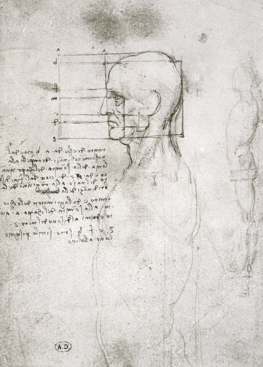 Kopf eines alten Mannes im Profil, Faksimilekopie von Leonardo da Vinci