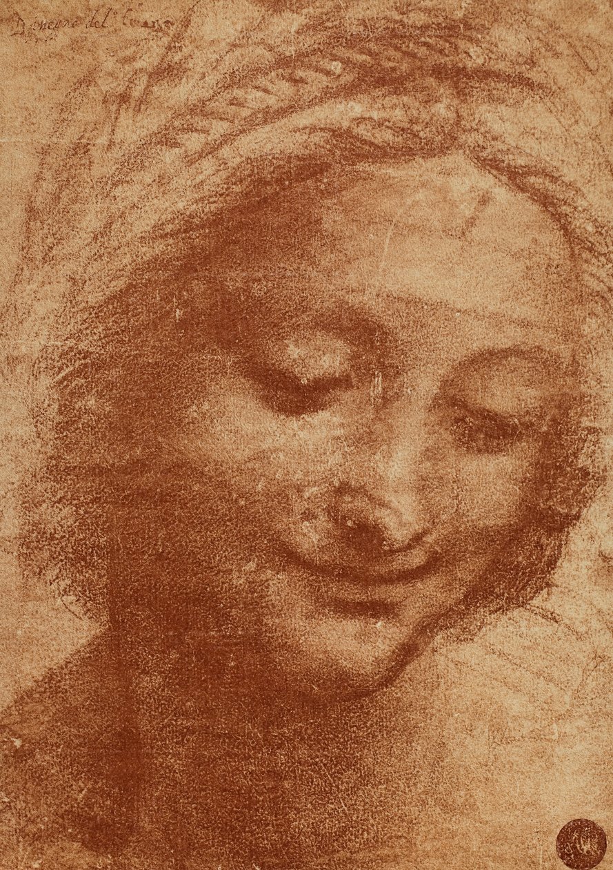 Kopf der Frau oder der Sant