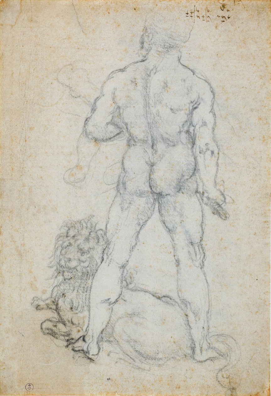 Herkules und der nemeische Löwe, ca. 1506-08 von Leonardo da Vinci