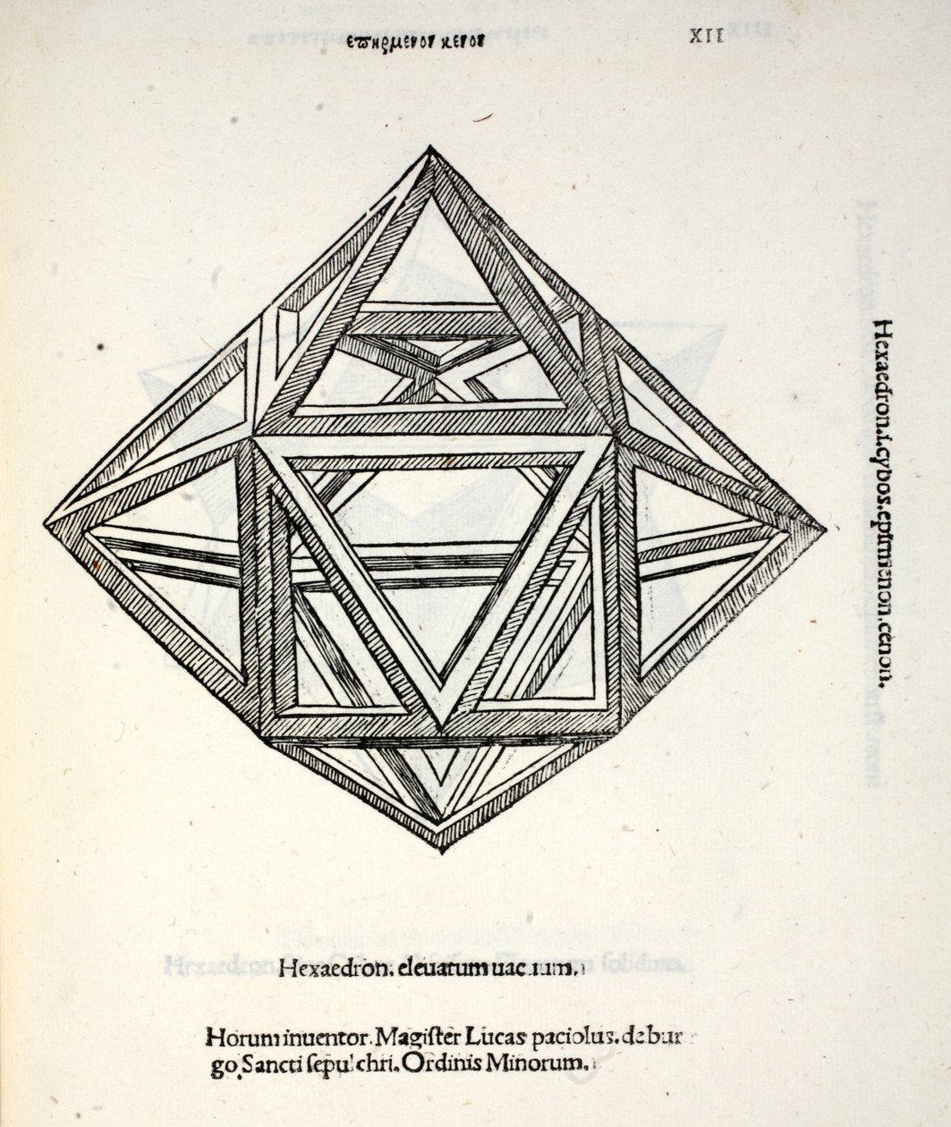 Hexaedron elevatum vacuum, Illustration aus 