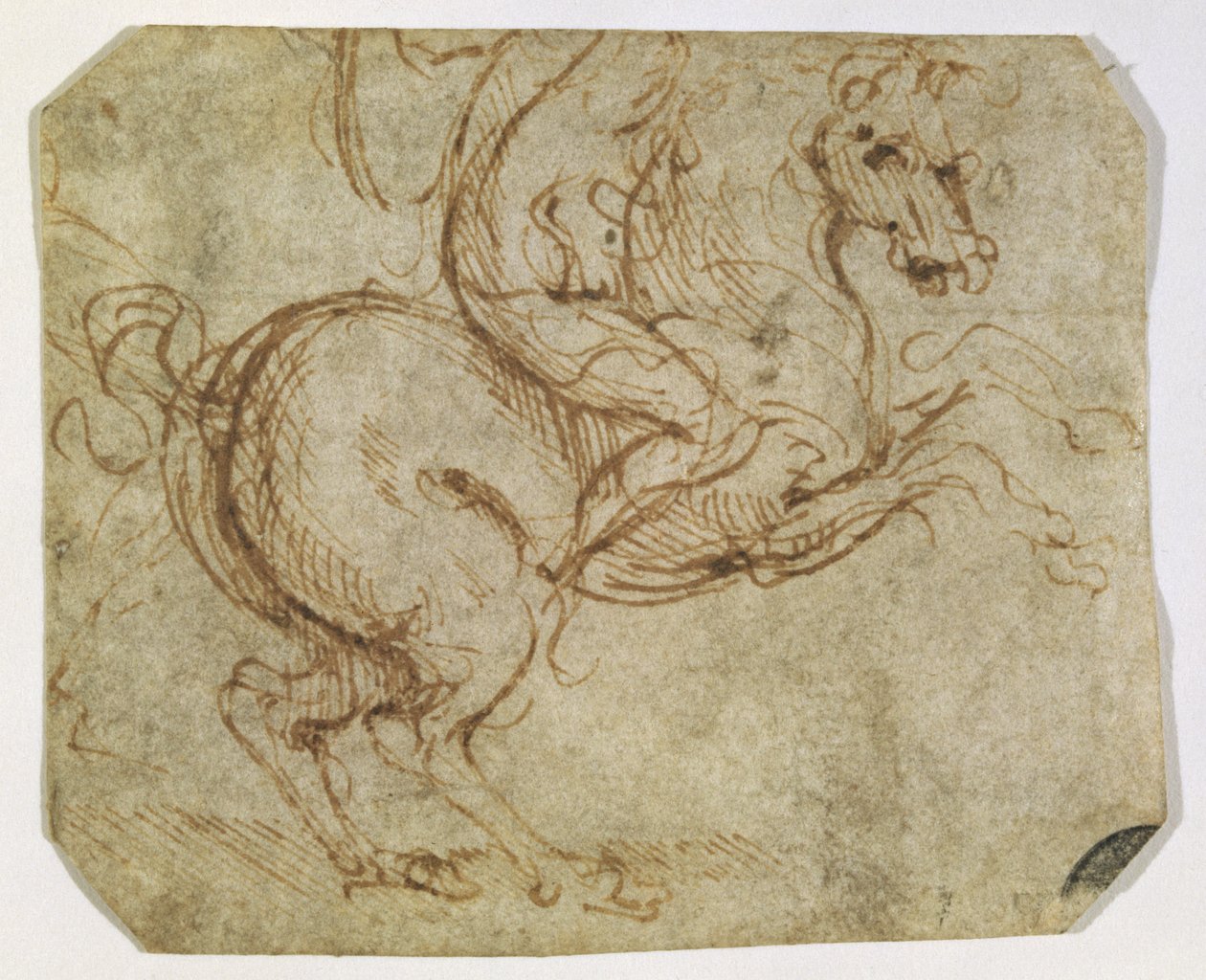 Pferd und Reiter von Leonardo da Vinci