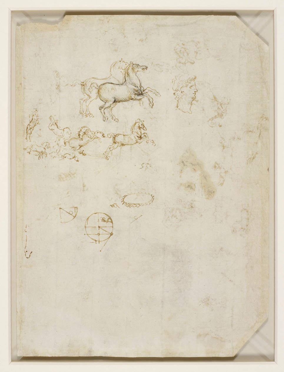 Steigende Pferde und der Kopf von Nero von Leonardo da Vinci